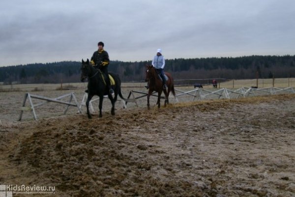 Эклипс, конный клуб в д. Вартемяги
