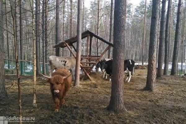 "Фиона&Компания", производство домашних молочных продуктов в Ленинградской области, закрыто