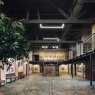 "ТерриториЯ", центр творческой свободы, образовательный центр для детей от 3 до 17 лет на Петроградской, СПб