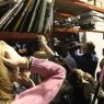 "Международная киношкола Синема" на Гжатской, занятия для детей и подростков от 3 до 18 лет в Петербурге