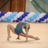 FD, всероссийская сеть детских спортивных школ по художественной гимнастике и спортивной акробатике на Дальневосточном, СПб