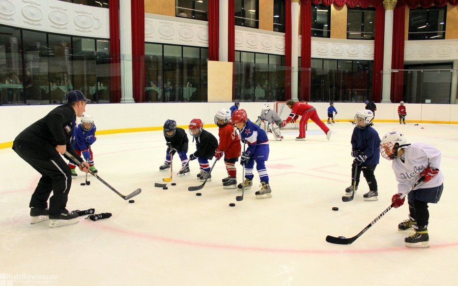 Сайт хоккейной школы. Хоккейная школа Красногорск. Хоккейная школа для взрослых. Хоккейная школа центр. Спортивная хоккейная школа во Владимире.
