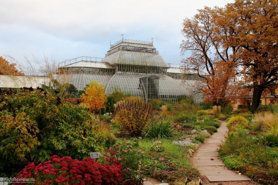 Ботанический сад Петра Великого в СПб