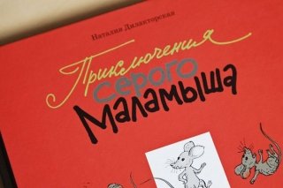 Приключения серого Маламыша, сказка в стихах для детей от 1 года до 6 лет, переиздание (отзыв)